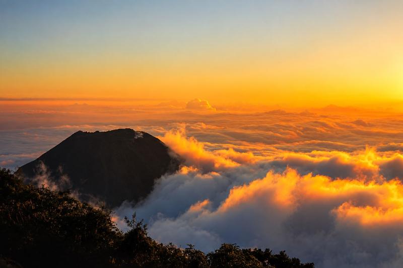 Visit Cerro Verde and the Volcano Lookout Points