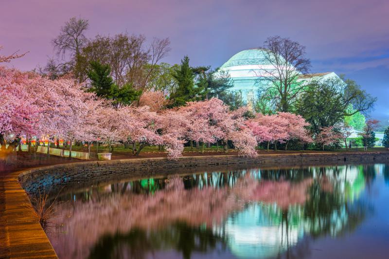 Washington DC: Night Tour of National Mall with Top Monuments & Memorials