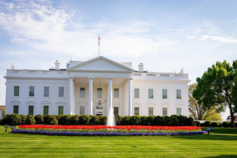 Washington DC: Cherry Blossom Tour + Seasonal Boat Cruise