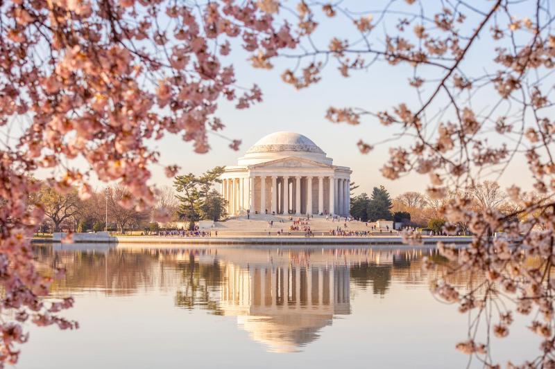 Washington DC: Guided City Bus Tour with Seasonal Cherry Blossom Viewing