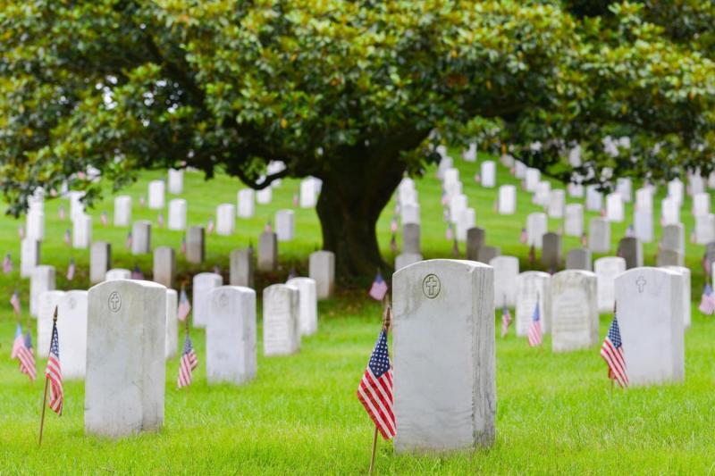 Washington DC: Arlington Cemetery with Changing of the Guards & Tomb of the Unknown Soldier