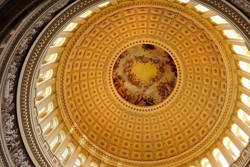Washington DC: Capitol Hill Walking Tour with U.S. Capitol & Capitol Museum Entry