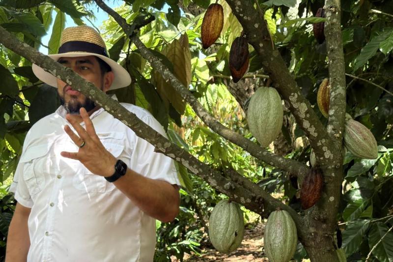 Cacao Route and Flavors of Comasagua: A Sensory Experience at Finca Santa Gertrudis featuring Chocol