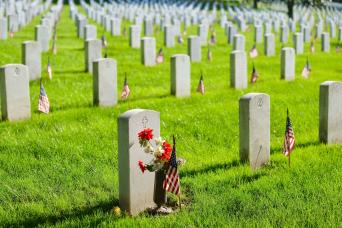 Washington DC: Arlington Cemetery Walking Tour and National Mall Night Tour Combo