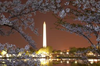 Washington DC: Evening National Mall Private Tour