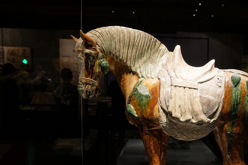 Xi'an: Private Full Day Sightseeing Tour with Lunch