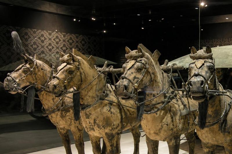 Xi'an: Terra-Cotta Warriors & Horses Private Full Day Tour