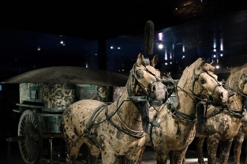 Xi'an: Terra-Cotta Warriors & Horses Full Day Tour