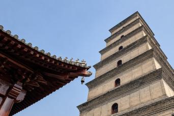 Xi'an: Shaanxi History Museum & Big Wild Goose Pagoda Half-Day Tour