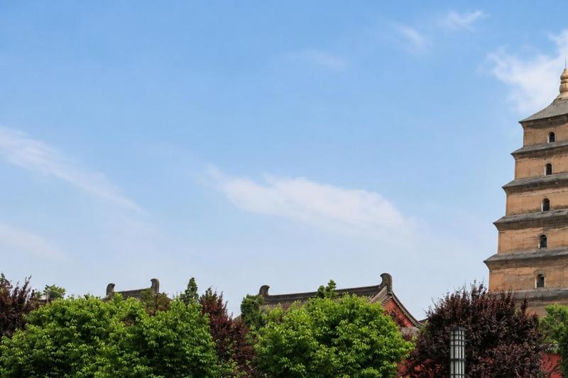 Xi'an: Shaanxi History Museum & Big Wild Goose Pagoda Half-Day Tour