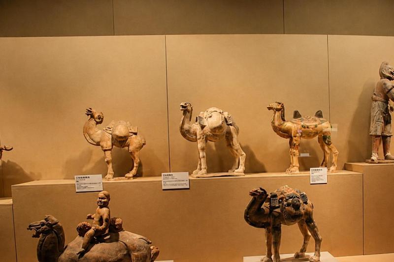 Xi'an: Shaanxi History Museum & Big Wild Goose Pagoda Half-Day Tour