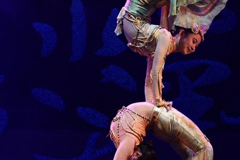 Beijing: Roast Duck Banquet & Acrobatics Show with VIP Seats Evening Tour