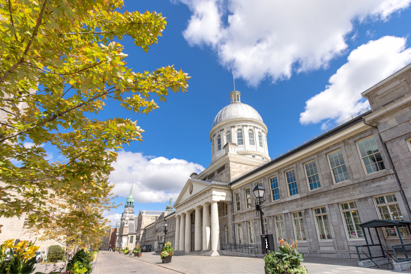 Montreal: Heart of the City Tour
