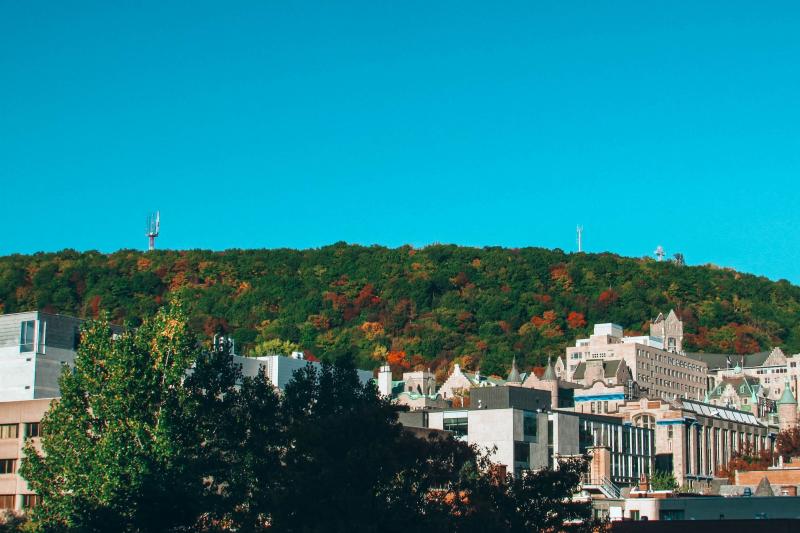 Montreal: Heart of the City Tour