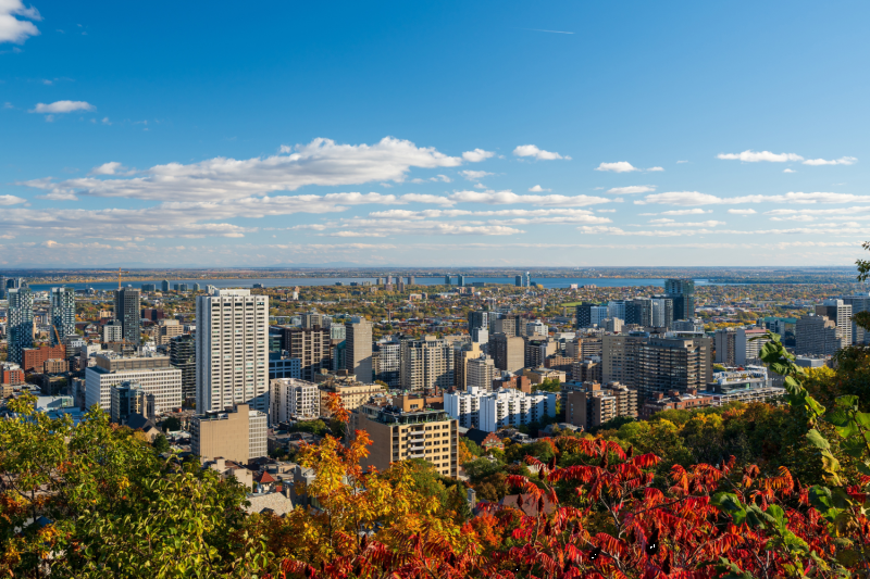 Montreal: Heart of the City Tour