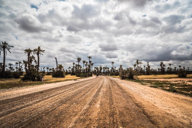 Marrakech: Quad Ride Adventure