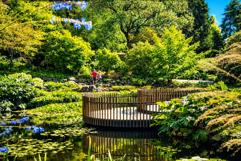 Hobart: City Tour