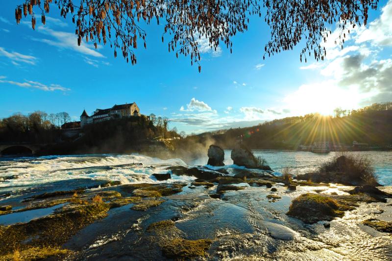 zurich-open-top-and-rhine-falls-3