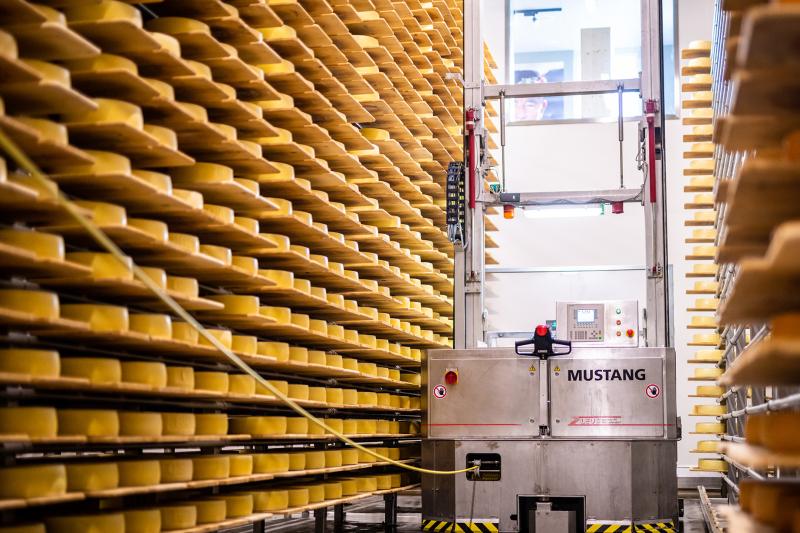 zurich-open-top-and-chocolat-cheese-tour-4