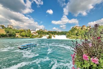 Aventure aux Chutes du Rhin : Escapade d'une Demi-Journée depuis Zurich