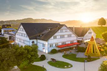 Rhin Falls et chocolaterir, fromagerie et village Suisse depuis Zurich