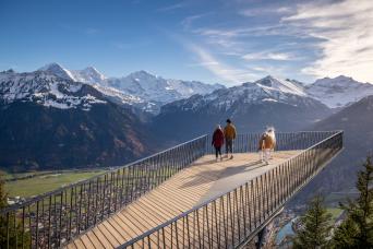 Hard plus Kulm et Interlaken de Zurich