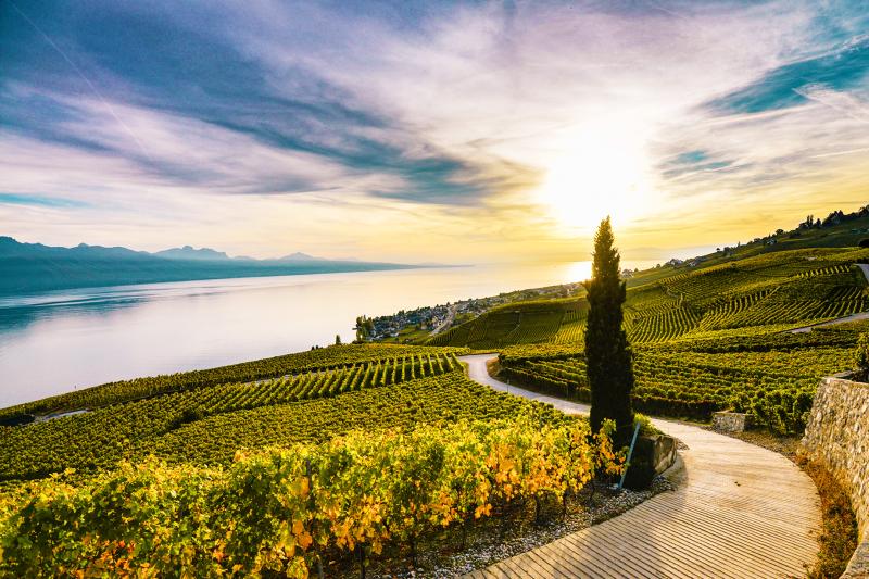 private-tour-to-the-swiss-riviera-from-geneva-4