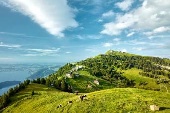 Mount Rigi Day & Lucerne Cable, train et crui