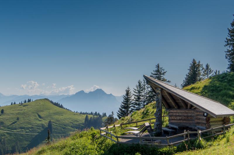 mount-rigi-day-lucerne-cable-car-train-and-crui-3