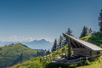 Mount Rigi Day & Lucerne Cable, train et crui