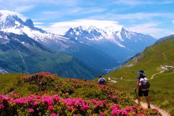 Genève: Chamonix - Mont-Blanc et randonnée