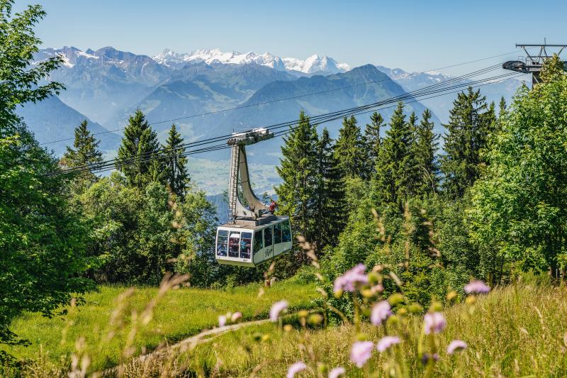 mount-rigi-day-lucerne-cable-car-train-and-cruise-1