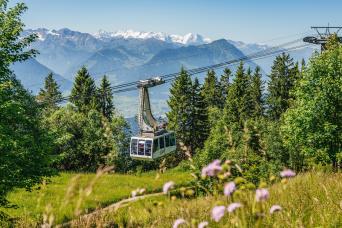 Mount Rigi Day & Lucerne cable car, train and cruise