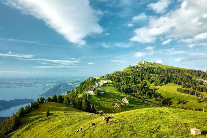 mount-rigi-day-lucerne-cable-car-train-and-cruise-4
