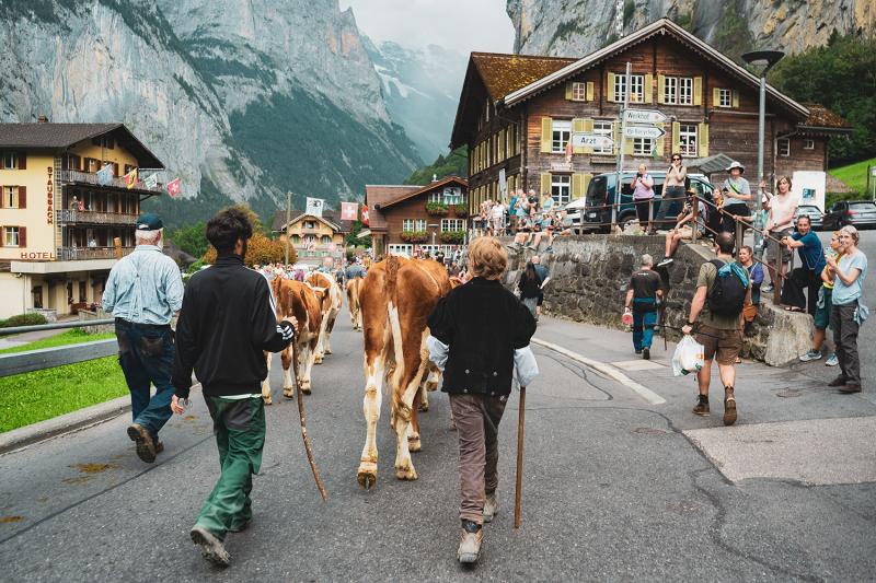 panoramic-tour-to-interlaken-lauterbrunnen-4