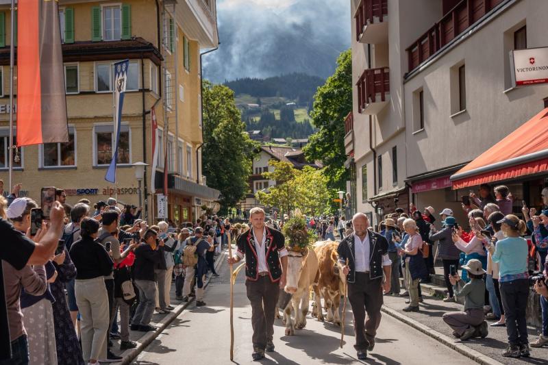 hop-on-hop-off-sightseeing-tour-to-int-grindlaut-2