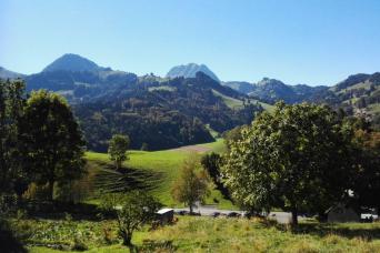Gruyères Gold - chocolate & cheese tour from Lausa
