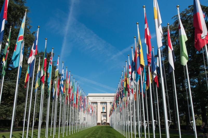 Bus Turistico Hop on Hop off per la Città di Ginevra - Alloggi in Geneva