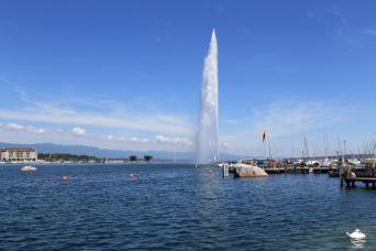 Ligne 4: Geneva Sightseeing Cruise