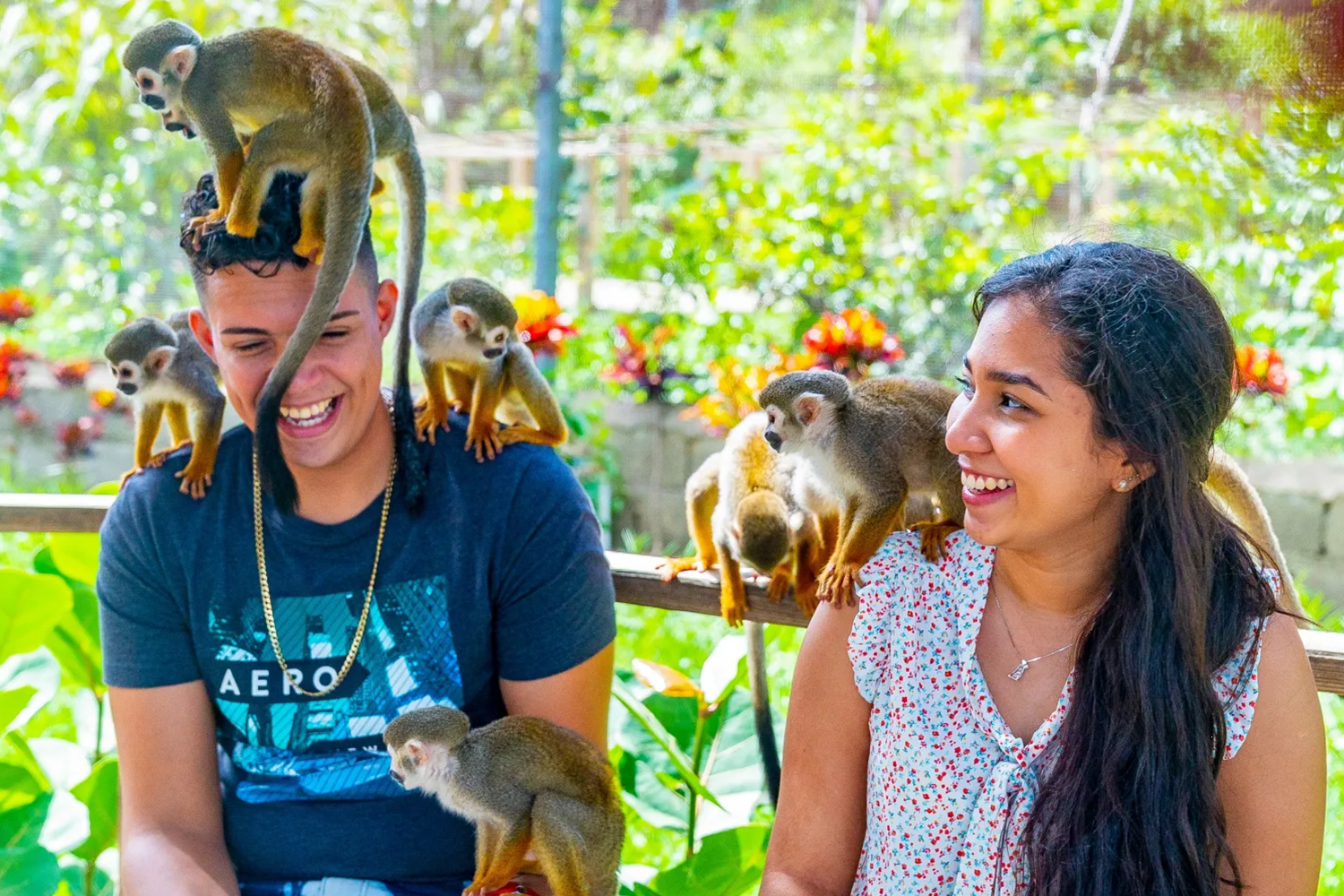 Monkey Land Punta Cana