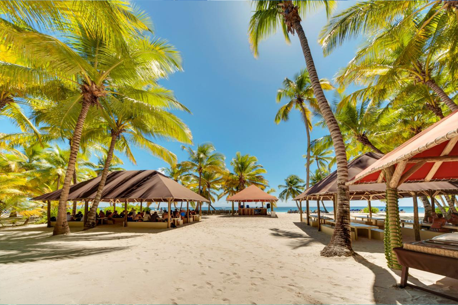 Saona Island beach