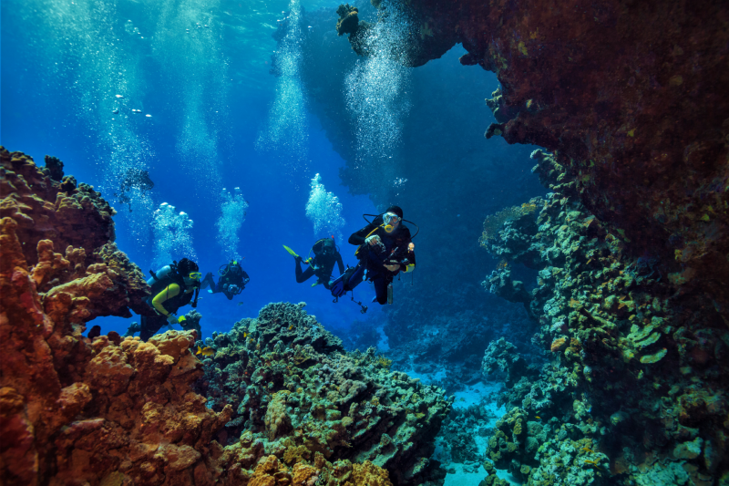 Scuba Diving Ocho Rios, Jamaica ScubaCaribe