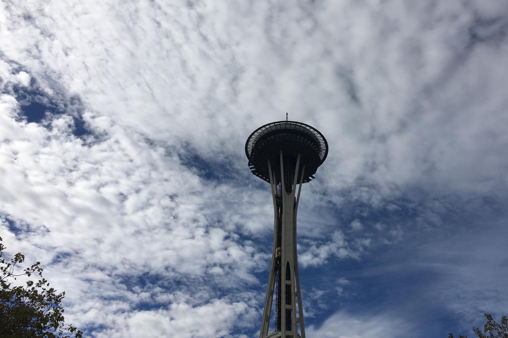 Harbor Cruise + Must See Seattle Hop-On Hop-Off | 24-Hour or 48-Hour Tickets Available