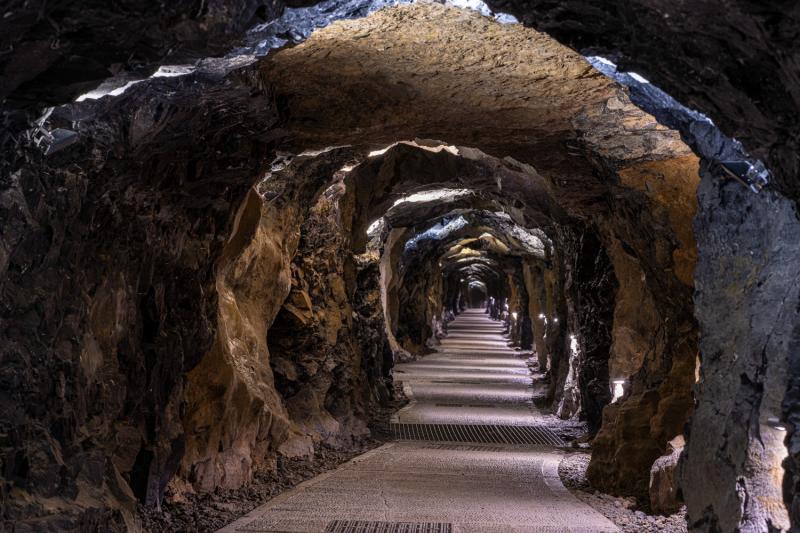 Scogliere di Moher, Uccelli Rapaci e Grotta di Aillwee da Dublino - Alloggi in Dublino