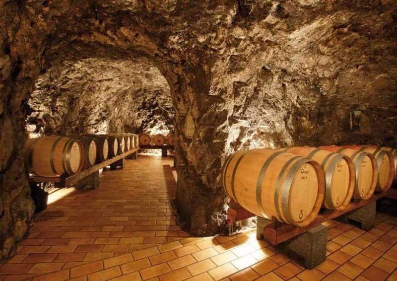 Private Wine Tasting & Lunch at Marisa Cuomo Winery from Amalfi