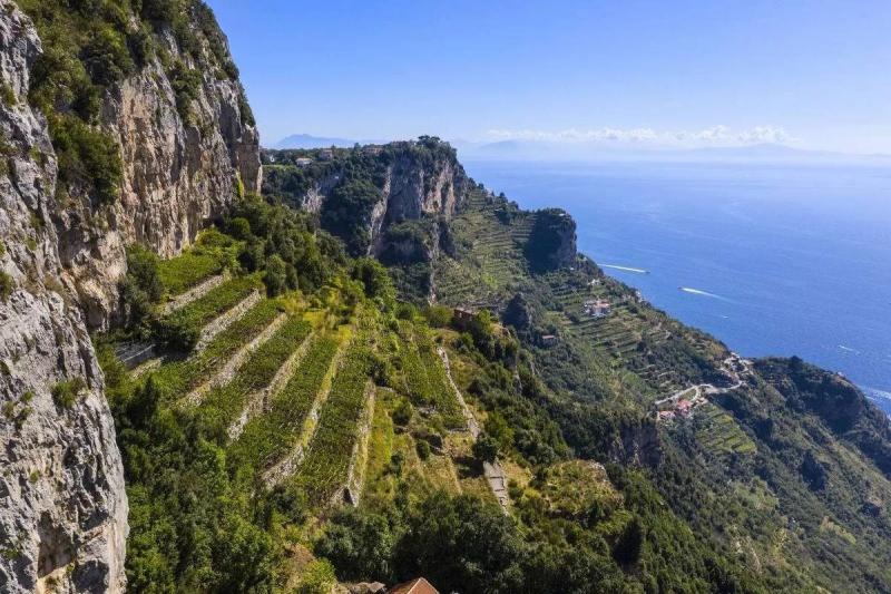 Private Wine Tasting & Lunch at Marisa Cuomo Winery from Amalfi