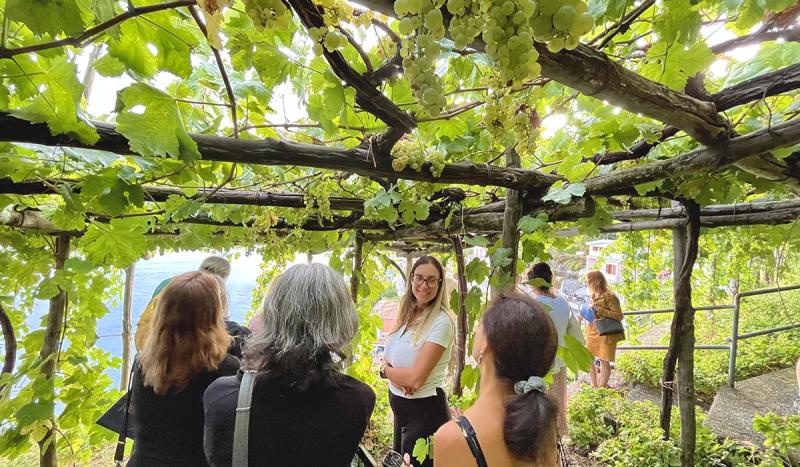 Private Wine Tasting & Lunch at Marisa Cuomo Winery from Amalfi