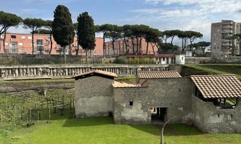 A Journey Through Ruins & Untouched Nature in the Vesuvius National Park