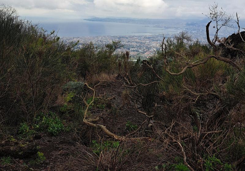 A Journey Through Ruins & Untouched Nature in the Vesuvius National Park