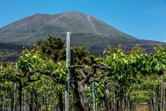 Private Tour of Pompeii with Wine Tasting & Lunch from Amalfi